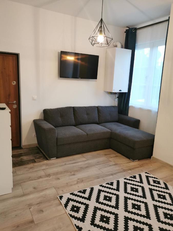Central Park Studio Petroşani Екстериор снимка