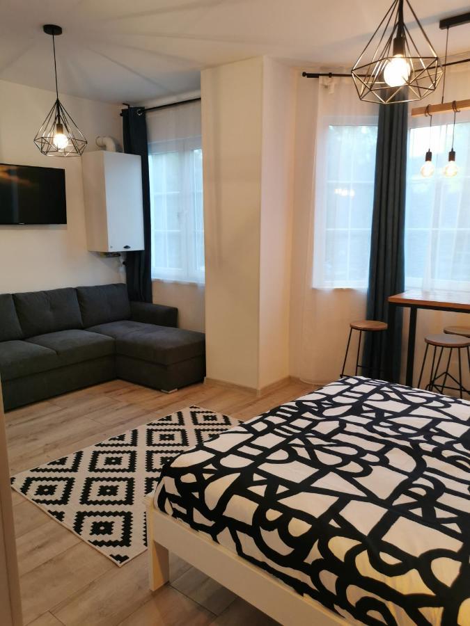 Central Park Studio Petroşani Екстериор снимка